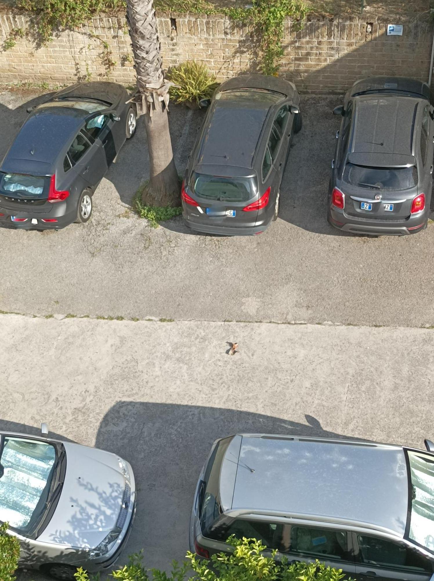 Villaggio Verde Cupra Cupra Marittima Luaran gambar