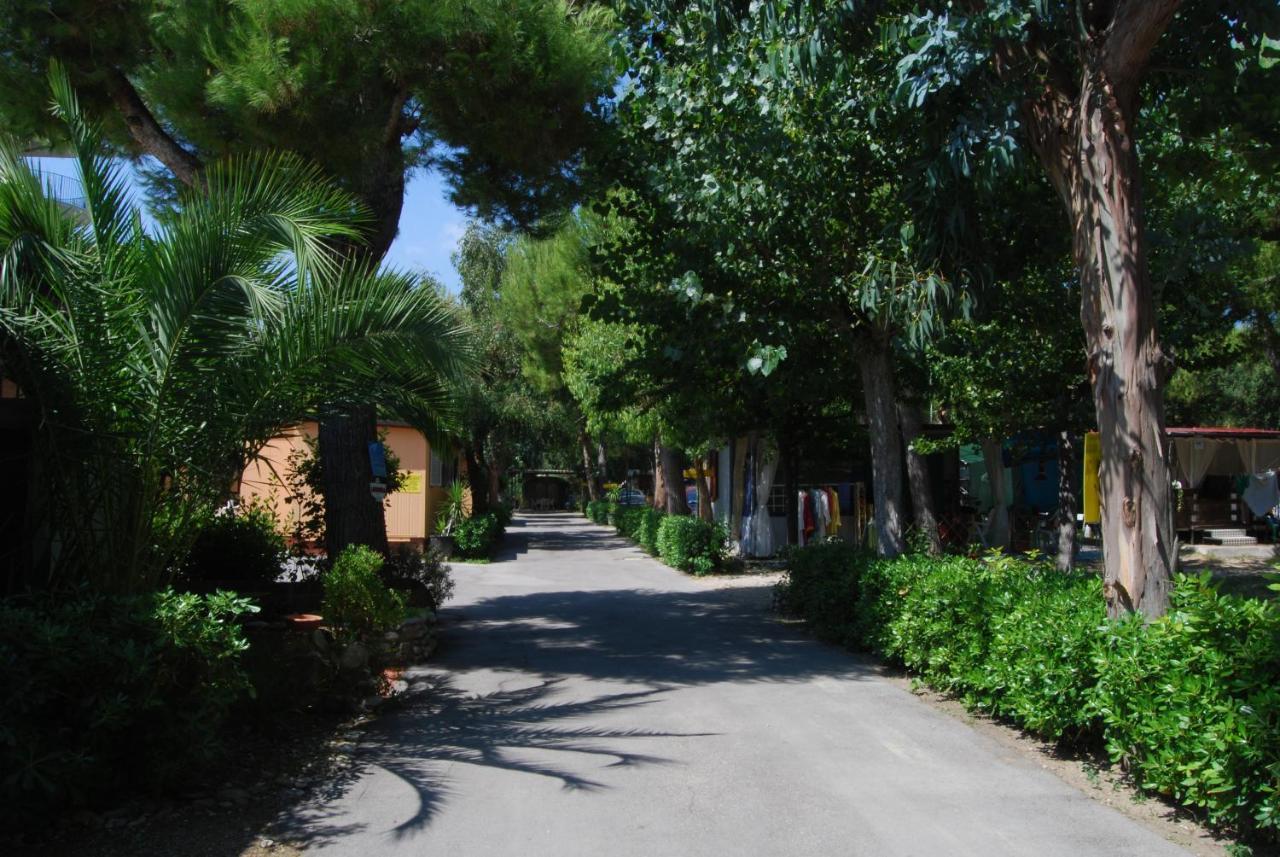 Villaggio Verde Cupra Cupra Marittima Luaran gambar